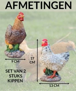 Kip Beeld Decoratie Voor Buiten En Binnen - Tuinbeelden Van Kippen -Philips Hue Winkel 1000x1200 16