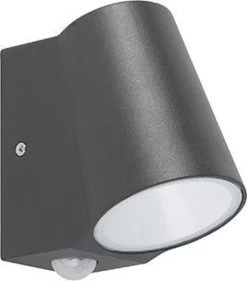 QAZQA Uma - Moderne LED Buitenlamp Met Bewegingsmelder | Bewegingssensor | Sensor Voor Buiten - 1 Lichts - D 120 Mm - Donkergrijs - Buitenverlichting -Philips Hue Winkel 1053x1200 2