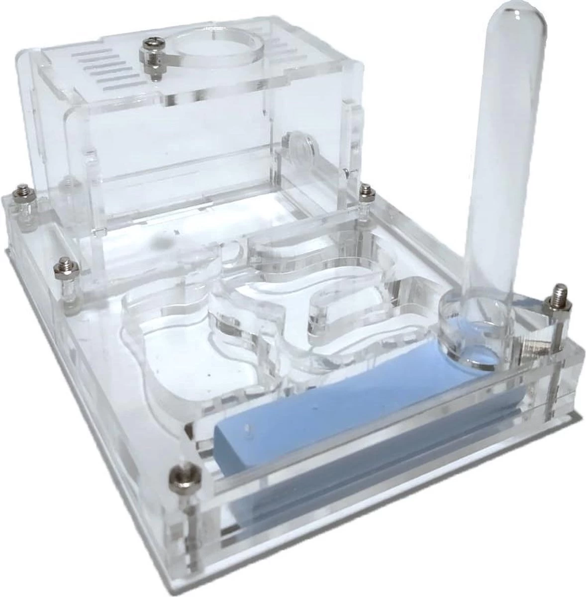 Transparant Beginners Mierenhuis Mierenboerderij Mierennest 3 Transparant Beginners Mierenhuis Mierenboerderij Mierennest