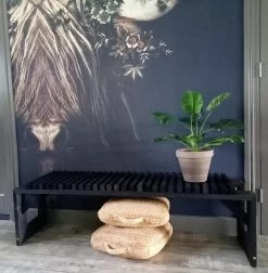 Tuinbank Design 2023 - 150CM - Grenen Hout - Zwart 11 Tuinbank Design 2023 - 150CM - Grenen Hout - Zwart -Philips Hue Winkel 1178x1200