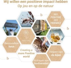 Ophangsysteem - Plafondhaak RVS - Ophanghaak TRX - Hangstoel Buiten - Hangstoel Binnen – Schommelstoel - Schommel - Bokszakken - RVS - 300kg -Philips Hue Winkel 1200x1150 1