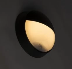 QAZQA Hortus - Moderne LED Buitenlamp Met Bewegingsmelder | Bewegingssensor | Sensor Voor Buiten - 1 Lichts - D 80 Mm - Zwart - Buitenverlichting -Philips Hue Winkel 1200x1157 9