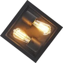 QAZQA Charlois - Design Plafondlamp Voor Buiten - 2 Lichts - L 24 Cm - Zwart - Buitenverlichting -Philips Hue Winkel 1200x1197 19