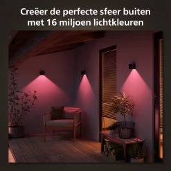 Philips Hue Resonate Down - Muurlamp - Wit En Gekleurd Licht - Zwart 14 Philips Hue Resonate Down - Muurlamp - Wit En Gekleurd Licht - Zwart -Philips Hue Winkel 1200x1200 1409