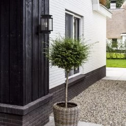 Buitenlamp Met Bewegingssensor Boston Wandlamp Zwart 12 Buitenlamp Met Bewegingssensor Boston Wandlamp Zwart -Philips Hue Winkel 1200x1200 1519