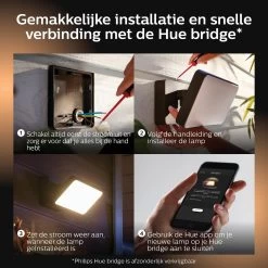 Philips Hue Outdoor Welcome Floodlight Schijnwerper - White - Zwart - 15W - IP44 -Philips Hue Winkel 1200x1200 1853