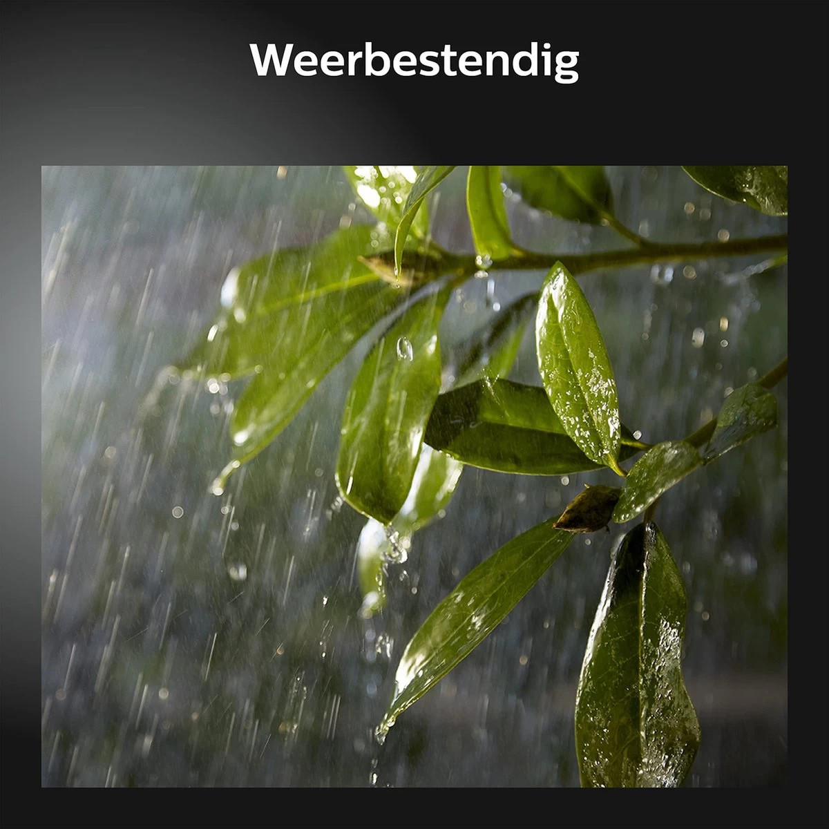 Philips Hue Lily Tuinspot Starterspakket Met Hue Bridge - Prikspot White And Color Ambiance - Prikspots Voor Buiten - Tuinverlichting - 3 Spots - Zwart 15 Philips Hue Lily Tuinspot Starterspakket Met Hue Bridge - Prikspot White And Color Ambiance - Prikspots Voor Buiten - Tuinverlichting - 3 Spots - Zwart - Afbeelding 13