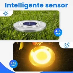 Eagle Electronics - Grondspots 10 LED Voor Buiten – Tuinverlichting LED Buiten – Tuinverlichting Op Zonneenergie -Philips Hue Winkel 1200x1200 2078