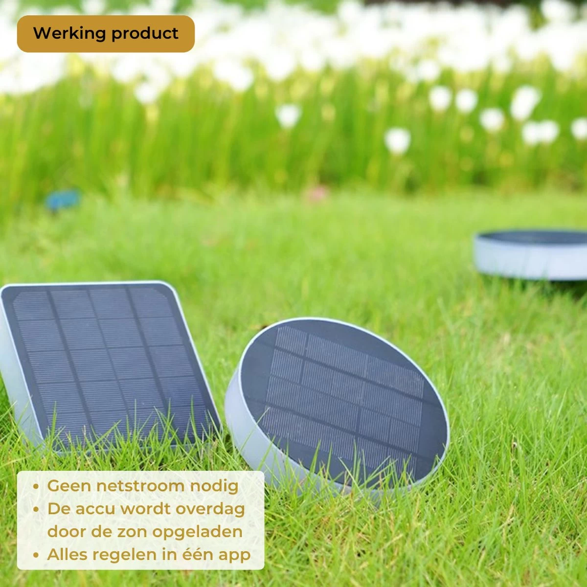 Lueas® - Solar Grondspot Telefoonbestuurbaar- Met App - Zonne-energie - Muurlamp - Lichtsensor - Bluetooth 7 Lueas® - Solar Grondspot Telefoonbestuurbaar- Met App - Zonne-energie - Muurlamp - Lichtsensor - Bluetooth - Afbeelding 5