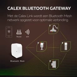 Calex Smart Outdoor LED Buitenlamp - Slimme Grondspot - Sokkellamp RGB En Warm Wit Licht- 4W - Zwart 17 Calex Smart Outdoor LED Buitenlamp - Slimme Grondspot - Sokkellamp RGB En Warm Wit Licht- 4W - Zwart -Philips Hue Winkel 1200x1200 2112