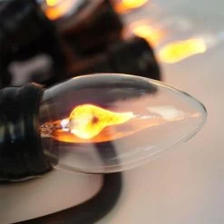 Merkloos Sprookjesverlichting 3,6 M Met 10 Bollen Warm Wit Vlameffect -Philips Hue Winkel 1200x1200 2334