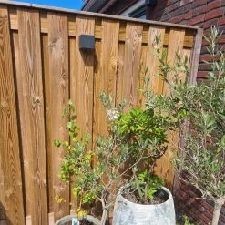 Solar Wandlamp Buiten 'Sven' Recht - Downlight - Warm Wit Licht - Wandlamp Op Zonne-energie -Philips Hue Winkel 1200x1200 2528