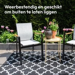 Gadgy Buitenkleed Vloerkleed - 230x160 Cm - Campingkleed – Picknickkleed – Tuintapijt - Buitentapijt -Philips Hue Winkel 1200x1200 2973