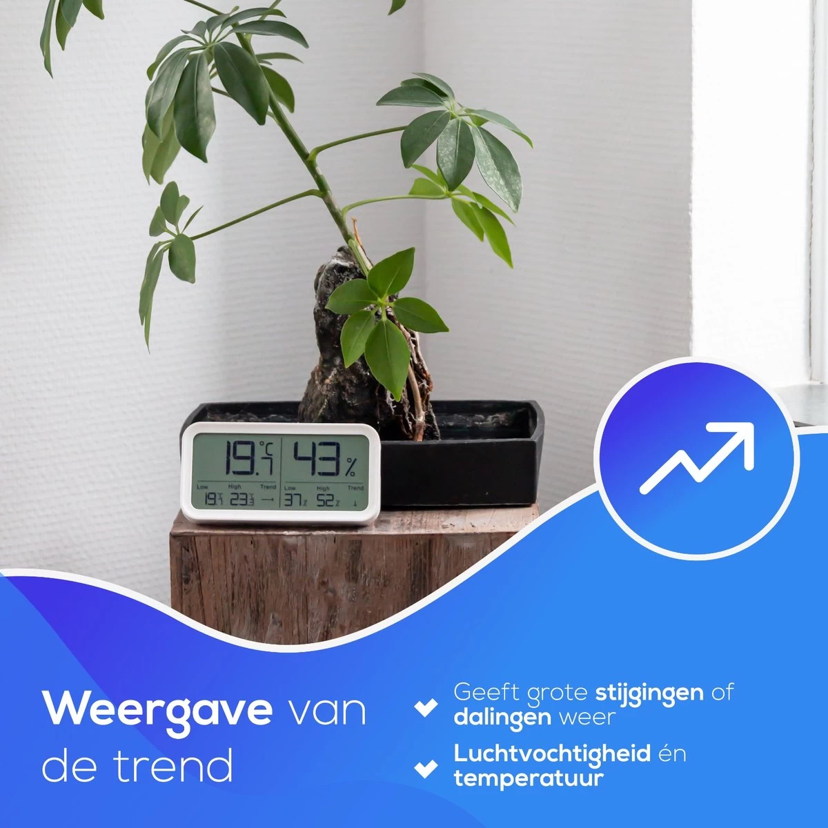 LifeWise Hygrometer Binnen - Luchtvochtigheidsmeter - Min/Max En Trend Weergave - Incl. Batterij 8 LifeWise Hygrometer Binnen - Luchtvochtigheidsmeter - Min/Max En Trend Weergave - Incl. Batterij - Afbeelding 6