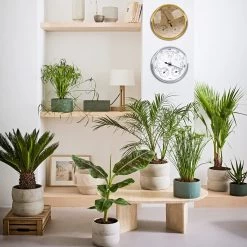 Luxe Barometer Weerstation Met Thermometer En Hygrometer – Messing Goudkleurig – Voor Binnen En Buiten 17 Luxe Barometer Weerstation Met Thermometer En Hygrometer – Messing Goudkleurig – Voor Binnen En Buiten -Philips Hue Winkel 1200x1200 3017