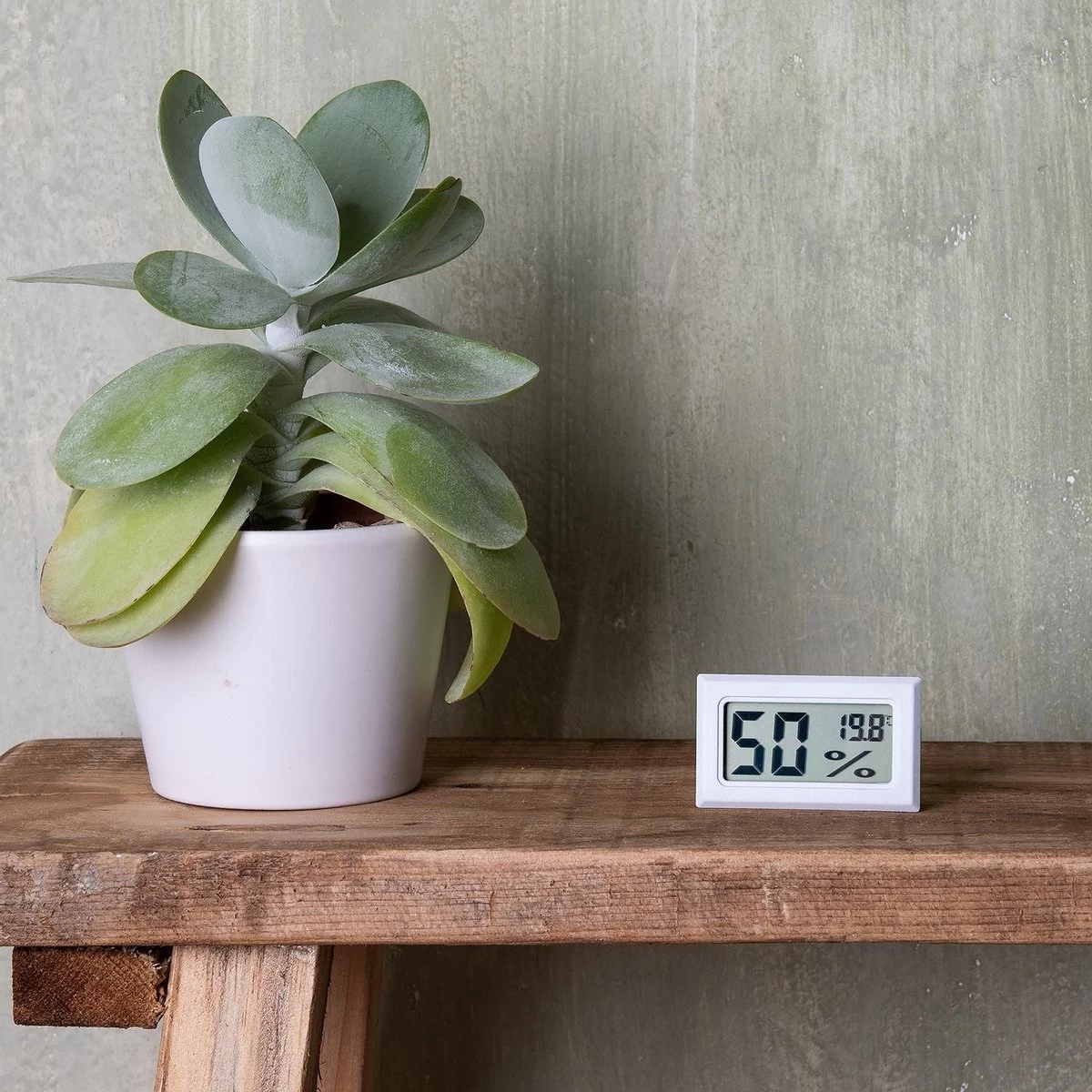 Compacte Hygrometer Mèt Batterijen - Wit - Hygro- En Thermometer - Digitale Luchtvochtigheidsmeter - Vochtmeter Voor Binnen - 2 In 1 10 Compacte Hygrometer Mèt Batterijen - Wit - Hygro- En Thermometer - Digitale Luchtvochtigheidsmeter - Vochtmeter Voor Binnen - 2 In 1 - Afbeelding 8