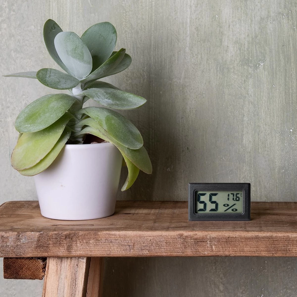 Compacte Hygrometer Mèt Batterijen - Zwart - Hygro- En Thermometer - Digitale Luchtvochtigheidsmeter - Vochtmeter Voor Binnen - 2 In 1 10 Compacte Hygrometer Mèt Batterijen - Zwart - Hygro- En Thermometer - Digitale Luchtvochtigheidsmeter - Vochtmeter Voor Binnen - 2 In 1 - Afbeelding 8