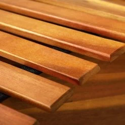 Casaria Ligstoel FSC®-gecertificeerd – Acacia Hout – 2 Stuks 15 Casaria Ligstoel FSC®-gecertificeerd – Acacia Hout – 2 Stuks -Philips Hue Winkel 1200x1200 368