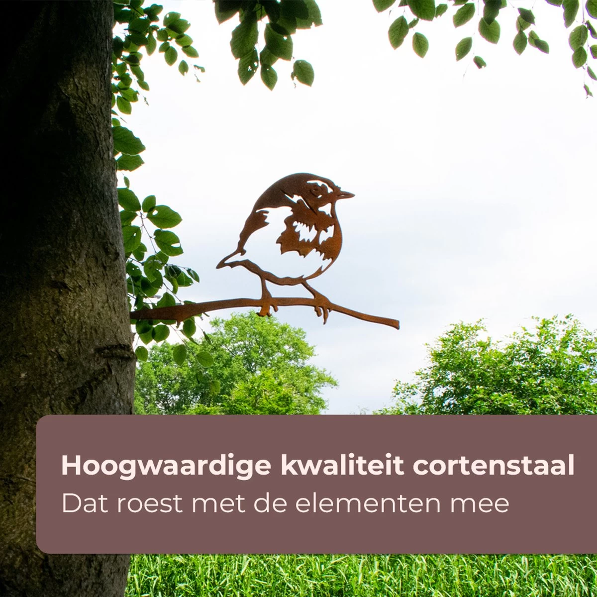 Tuindecoratie - Cortenstaal - Metalbird - Boomdecoratie - Roodborstje - 25x13cm 5 Tuindecoratie - Cortenstaal - Metalbird - Boomdecoratie - Roodborstje - 25x13cm - Afbeelding 3