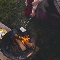 2L Home And Garden - Vuurschaal Op Ring - Ø 60cm -Philips Hue Winkel 1200x1200 4271