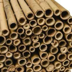 Sol Royal Balkonscherm Bamboe Balkondoek - Solvision B38 90x250cm Bamboe 16 Sol Royal Balkonscherm Bamboe Balkondoek - Solvision B38 90x250cm Bamboe -Philips Hue Winkel 1200x1200 4348