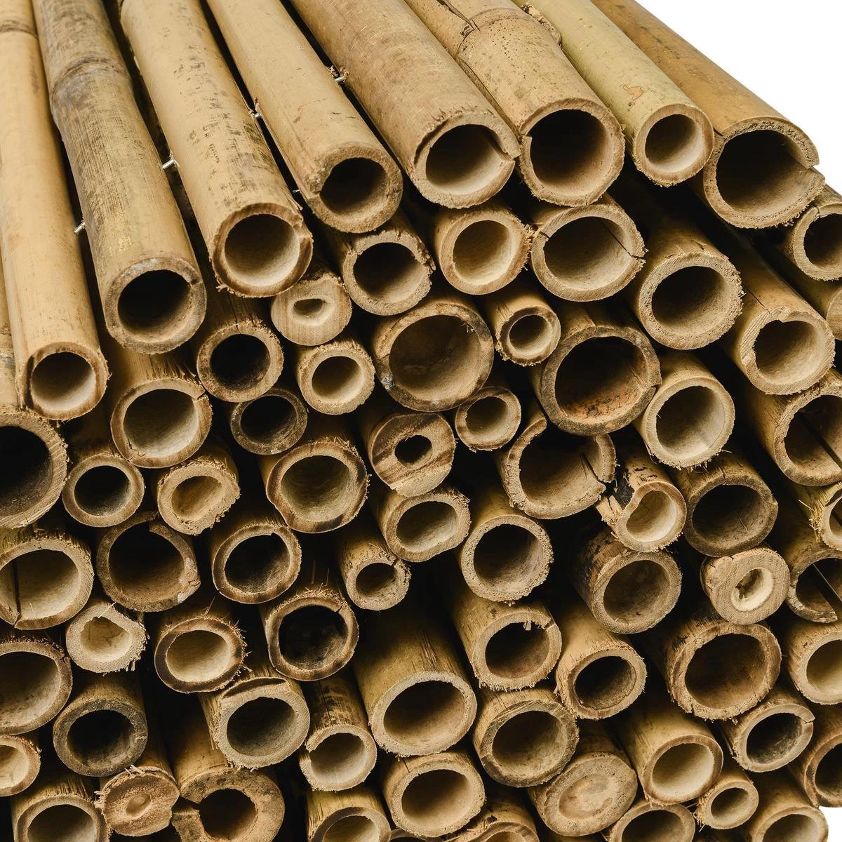 Sol Royal Balkonscherm Bamboe Balkondoek - Solvision B38 90x250cm Bamboe 8 Sol Royal Balkonscherm Bamboe Balkondoek - Solvision B38 90x250cm Bamboe - Afbeelding 6