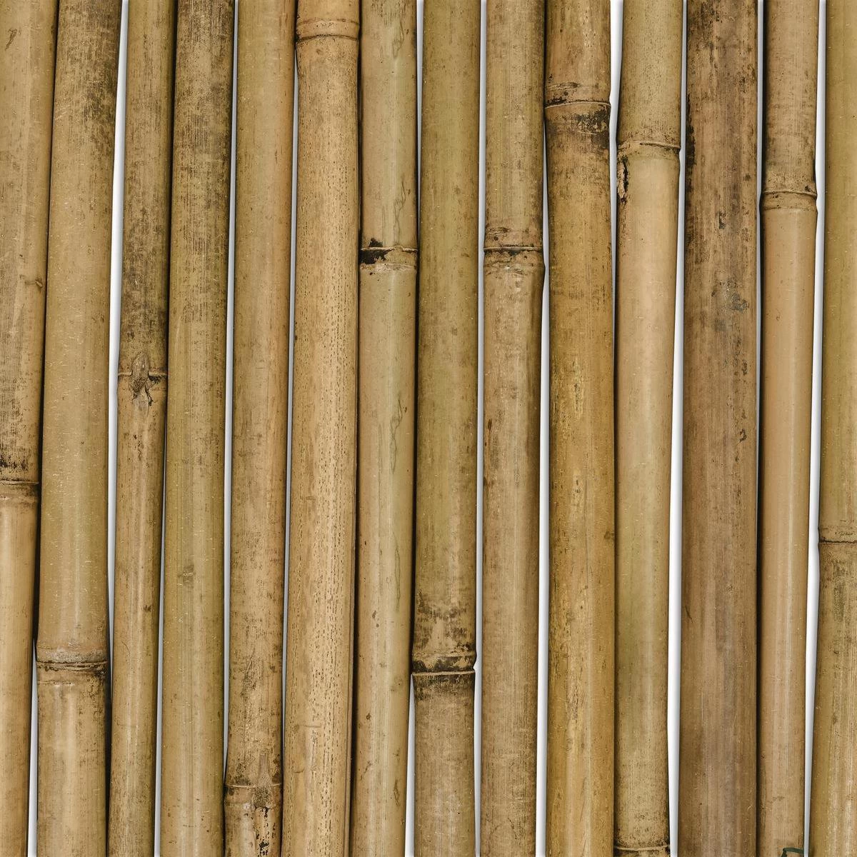 Sol Royal Balkonscherm Bamboe Balkondoek - Solvision B38 90x250cm Bamboe 9 Sol Royal Balkonscherm Bamboe Balkondoek - Solvision B38 90x250cm Bamboe - Afbeelding 7