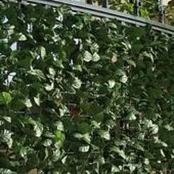 Intergard Tuinscherm Kunsthaag - 1.5 X 3 M -Philips Hue Winkel 1200x1200 4464