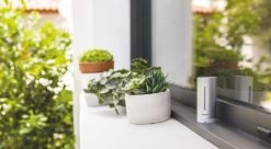 Netatmo Slim Weerstation - Bediening Via App - CO-2 Meter - Hygrometer 19 Netatmo Slim Weerstation - Bediening Via App - CO-2 Meter - Hygrometer -Philips Hue Winkel 1200x662 3