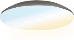 HOFTRONIC - LED Plafondlamp - Plafonnière - RVS - 12 Watt - IP65 Waterdicht - Kleur Instelbaar (2700K, 4000K & 5000K) - 1200 Lumen - IK10 Stootveilig - Ø25 Cm - Geschikt Voor Badkamer - Voor Binnen En Buiten - 3 Jaar Garantie -Philips Hue Winkel 1200x663 2