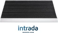 Buitenmat / Scrapermat / Borstelmat Tiger - 40 X 60 Cm