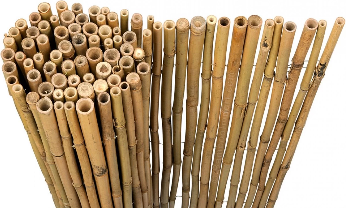 Bamboo Import Europe Bamboemat Op Rol Budget 180 X 180 Cm 4 Bamboo Import Europe Bamboemat Op Rol Budget 180 X 180 Cm - Afbeelding 2