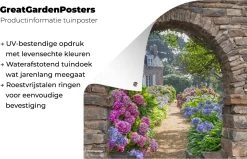 Tuinposter - Doorkijk - Hortensia - Bloemen - Huis - Tuin - 60x80 Cm - Schuttingdecoratie - Tuindoek -Philips Hue Winkel 1200x772 7