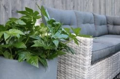 Merkloos Rivièra Original | Loungeset Hoekset Dining Set Tuinset | Wicker | Hoekbank, Hoge Tuintafel, 2 Hockers | 6 Zitplaatsen 8 Merkloos Rivièra Original | Loungeset Hoekset Dining Set Tuinset | Wicker | Hoekbank, Hoge Tuintafel, 2 Hockers | 6 Zitplaatsen -Philips Hue Winkel 1200x793 6