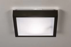 Lumidora Plafondlamp 73918 - E27 - Zwart - Wit - Kunststof - Buitenlamp - Badkamerlamp - IP44 -Philips Hue Winkel 1200x797 6