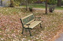 LIFA GARDEN Tuinbank Voor 2 Kinderen | Kinderbank Van Onbewerkt Hout En Ijzer | Nostalgische Tuinbank Met Jungle Afbeelding In De Rugleuning | Tuinbank Om Te Beitsen | 82 X 39 X 50 Cm -Philips Hue Winkel 1200x799 4