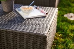 Central Park Hoekbank Loungeset Alea Grijs Staal/riet 3-delig -Philips Hue Winkel 1200x800 282