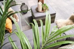 Fonteyn | Loungeset Connor | Melange -Philips Hue Winkel 1200x800 40