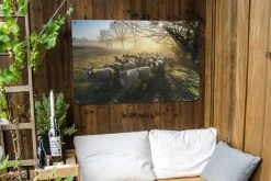 Tuinposter - Tuindoek - Tuinposters Buiten - Schaap - Zon - Weiland - 120x80 Cm - Tuin -Philips Hue Winkel 1200x800 403