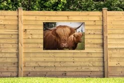 Tuinposter - Tuindoek - Tuinposters Buiten - Schotse Hooglanders - Bruin - Gras - 120x80 Cm - Tuin 11 Tuinposter - Tuindoek - Tuinposters Buiten - Schotse Hooglanders - Bruin - Gras - 120x80 Cm - Tuin -Philips Hue Winkel 1200x800 475