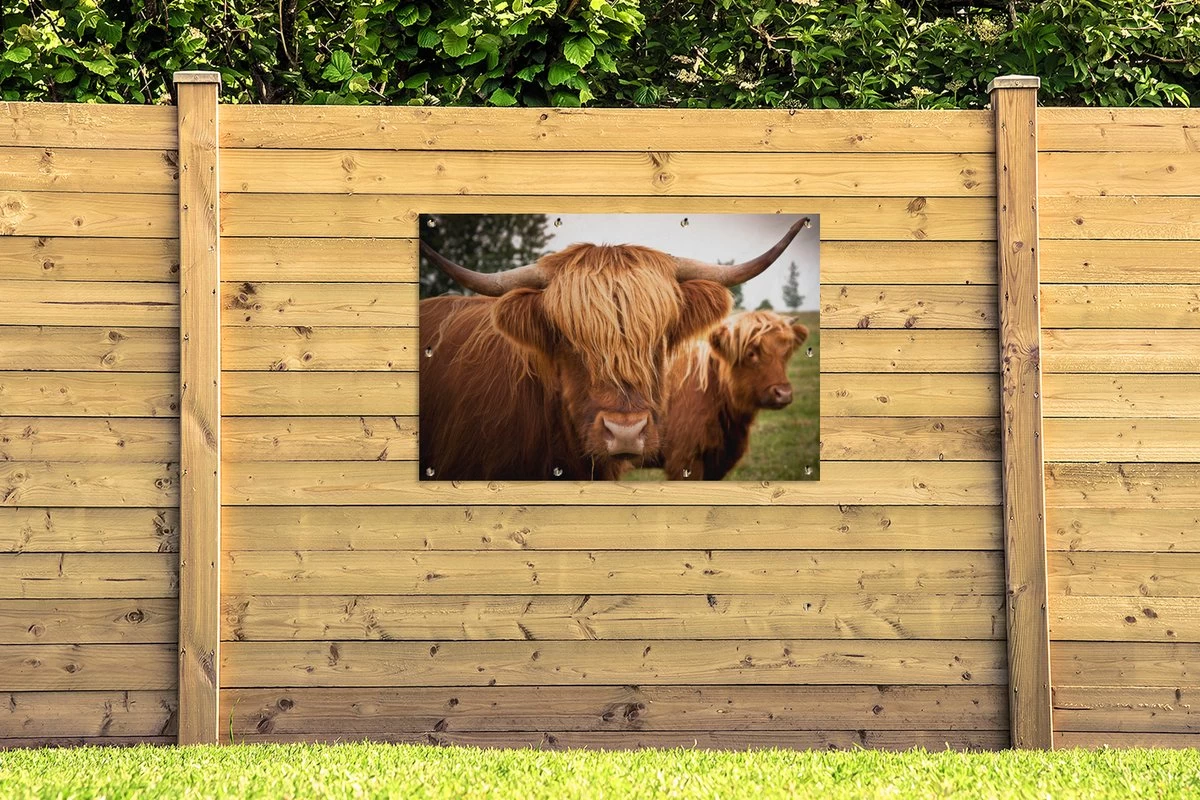 Tuinposter - Tuindoek - Tuinposters Buiten - Schotse Hooglanders - Bruin - Gras - 120x80 Cm - Tuin 5 Tuinposter - Tuindoek - Tuinposters Buiten - Schotse Hooglanders - Bruin - Gras - 120x80 Cm - Tuin - Afbeelding 3