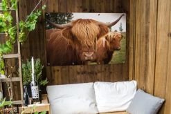 Tuinposter - Tuindoek - Tuinposters Buiten - Schotse Hooglanders - Bruin - Gras - 120x80 Cm - Tuin 12 Tuinposter - Tuindoek - Tuinposters Buiten - Schotse Hooglanders - Bruin - Gras - 120x80 Cm - Tuin -Philips Hue Winkel 1200x800 476