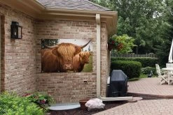 Tuinposter - Tuindoek - Tuinposters Buiten - Schotse Hooglanders - Bruin - Gras - 120x80 Cm - Tuin 13 Tuinposter - Tuindoek - Tuinposters Buiten - Schotse Hooglanders - Bruin - Gras - 120x80 Cm - Tuin -Philips Hue Winkel 1200x800 477