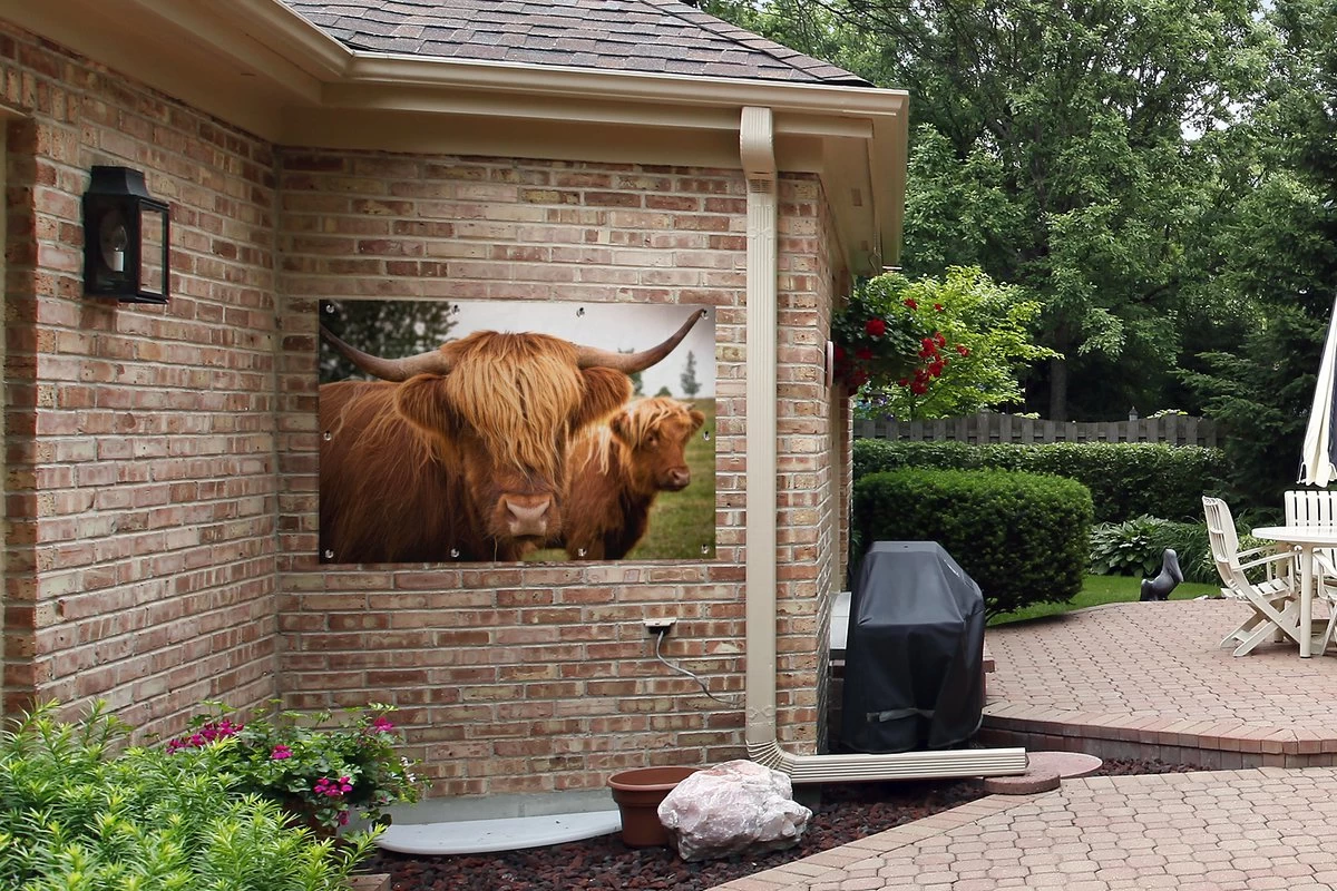 Tuinposter - Tuindoek - Tuinposters Buiten - Schotse Hooglanders - Bruin - Gras - 120x80 Cm - Tuin 7 Tuinposter - Tuindoek - Tuinposters Buiten - Schotse Hooglanders - Bruin - Gras - 120x80 Cm - Tuin - Afbeelding 5