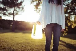 Fermob Balad Tafellamp Voor Binnen En Buiten Oplaadbaar H25cm : Cactus -Philips Hue Winkel 1200x800 522