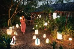 Fermob Balad Tafellamp Voor Binnen En Buiten Oplaadbaar H25cm : Cactus -Philips Hue Winkel 1200x800 523