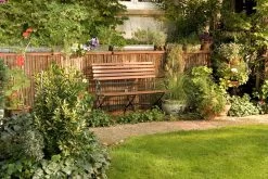 Intergard Boomschorsmat Tuinscherm Enkelzijdig 200x500cm 10 Intergard Boomschorsmat Tuinscherm Enkelzijdig 200x500cm -Philips Hue Winkel 1200x800 562