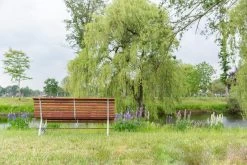 MaximaVida Tuinbank Budapest Oil 170 Cm - Uit Exclusief Mahoniehout -Philips Hue Winkel 1200x800 67