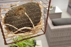 Garden Impressions Montana Loungeset - Organic Grey -Philips Hue Winkel 1200x801 13