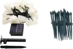 Cynergie - Tuinverlichting Op Zonneenergie - 20 X Led Lampen - Solar Lampjes Met Paddenstoelen - Kerstverlichting Buiten -Philips Hue Winkel 1200x806 5